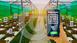 Farmers hand hold smartphone,scan QR code track agricultural produce through modern wireless network with 5G technology in farms,