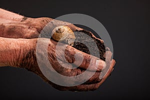 Farmers hand holding soil surface