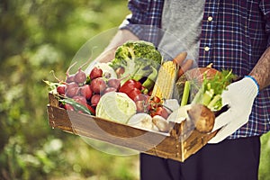 Farmers hands holding wooden box with different fruits and vegetables