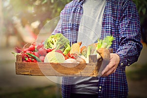 Farmers hands holding wooden box with different fruits and vegetables