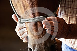 Farmers hands on horse