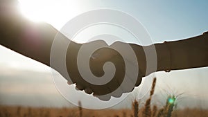 Farmers handshake over the wheat crop in harvest time. Partnership concept.