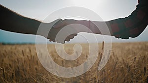 Farmers handshake over the wheat crop in harvest time. Partnership concept.