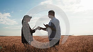 Farmers handshake over the wheat crop in harvest time. Team farmers stand in a wheat field with tablet. Partnership