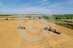 Farmers harvest straw from the fields to use as animal bedding.