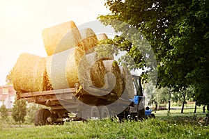 Farmers harvesting hay