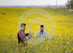 Farmers with laptop in rapessed field