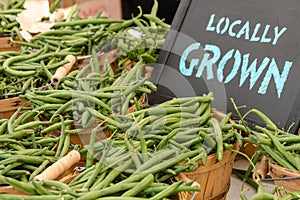 Farmers Market