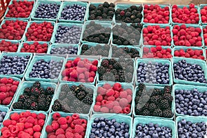 Farmers' Market Berries #2