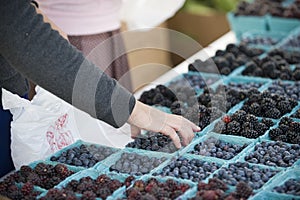 Farmers Market berries