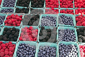 Farmers' Market Berries photo