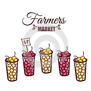 Farmers Market Berries