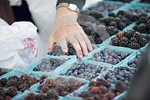 Agricoltori il mercato frutti di bosco scelta 