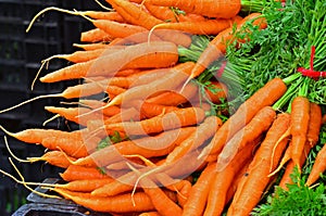 Agricoltori il mercato gruppi da fresco una carota 