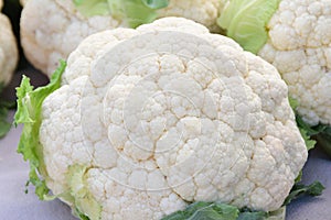 Farmers Market Cauliflower Head