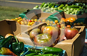 Farmers Market - Fresh Produce