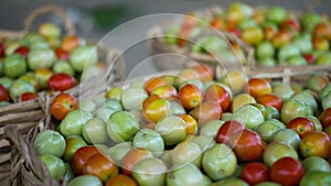 Farmers Market Fresh Tomatoes