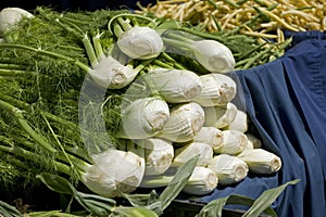 Farmers Market fresh vegtables