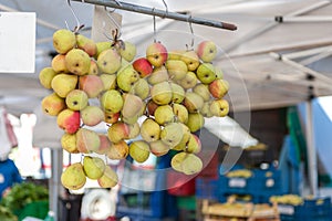 Farmers Market fruits and vegetables