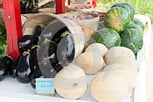 Farmers Market Melons