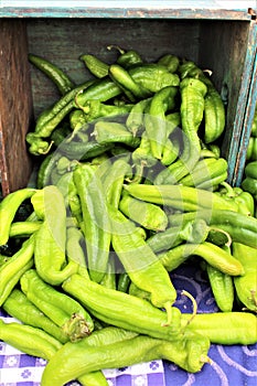 Farmers Market at Old Downtown Scottsdale, Arizona, United States