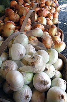 Farmers Market Onion Baskets