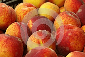 Farmers Market peaches