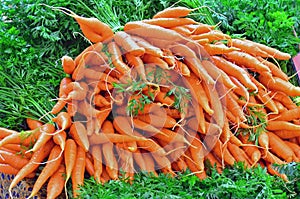 Agricoltori il mercato da fresco una carota 