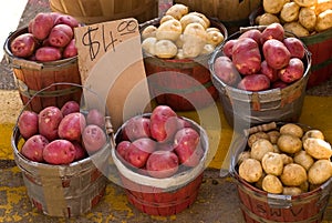 Farmers' Market Potato Display