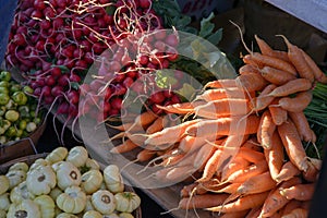 Farmers Market Produce