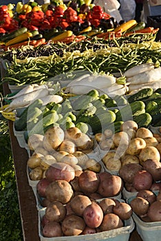 Farmers Market Produce