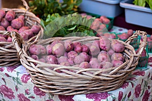 Farmers Market - Red Potato Basket