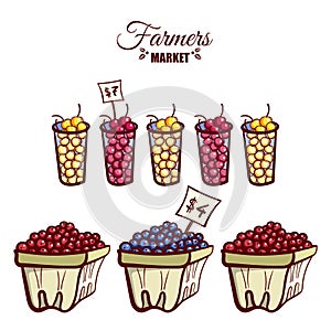 Farmers Market Ripe Berries