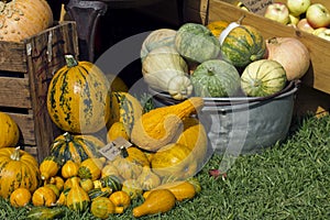 Farmers Market selling Pumpkins and Gourds