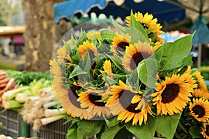 Farmers market stall sunflowers