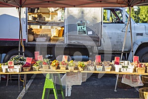 Farmers Market Table 7