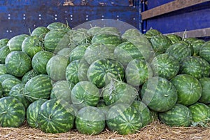 Farmers market and a truckload of watermelons