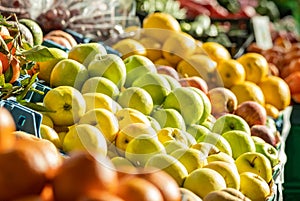 Farmers market, various organic fruits in baskets, fresh and colorful