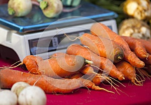 Farmers Market Vegetables