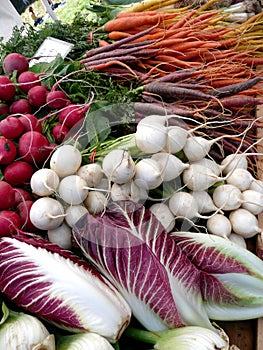 Farmers Market vegetables: radicchio and turnips