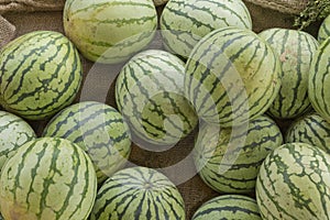 Farmers Market Watermelon