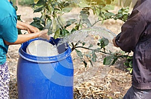 Farmers prepared water into blue bucket to water plants in garden. Concept, Solve problems lacking of water in agriculture