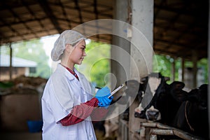 Farmers are recording details of each cow on the farm