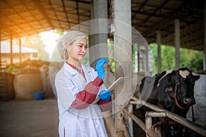 Farmers are recording details of each cow on the farm