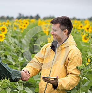 Farmers shaking hands in field