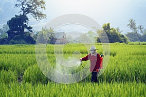 Pesticides is harmful to health photo