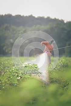 Farmers are spraying chemicals to nourish cassava or Herbicide in agricultural farmland in Thailand