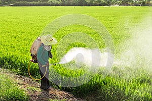 Farmers spraying pesticides photo