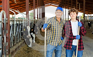 Farmers standing in cowhouse