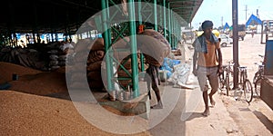 Farmers transporting agricultural goods at farmers produce market